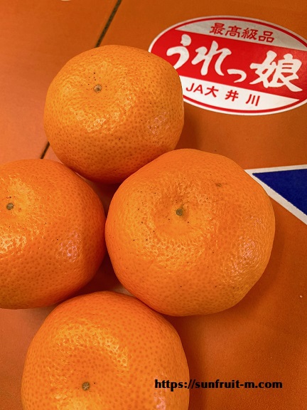 高糖度青島みかん 高糖度青島みかん