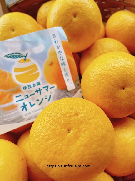 ニューサマーオレンジ ニューサマーオレンジ