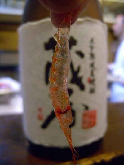 透けて見える文字が何とかいてあるか、わかります?