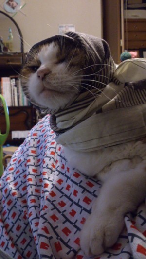 巻く
