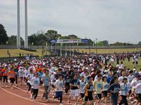 第26回日本平桜マラソン・鍼ボランティア報告