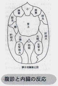 腹診(ふくしん)について