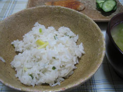 新しょうが
