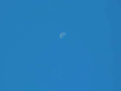 朝の月