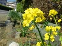 ２／２３の朝ですよ 2010/02/23 07:46:08