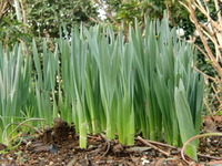 ３／１の朝ですよ 2010/03/01 08:57:52