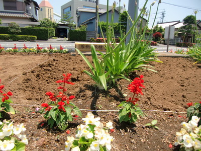 花壇