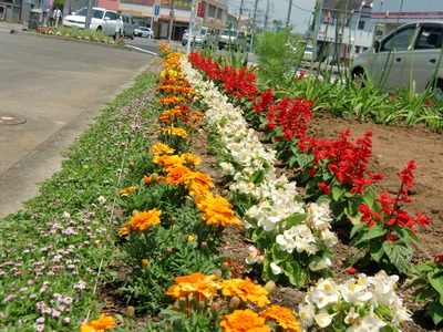 花壇