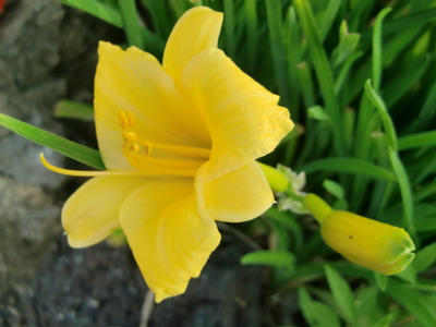朝の月