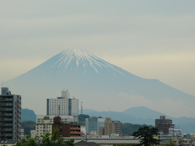 岩たばこ
