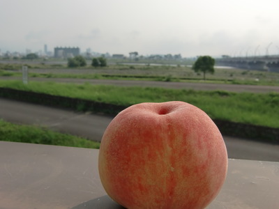 桃