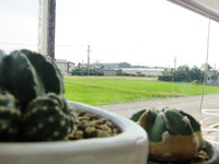 のどかだな～ 2010/10/20 09:18:48