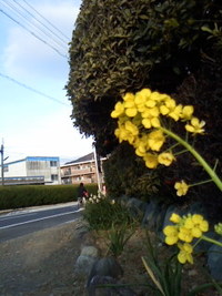 ２／９の朝ですよ 2010/02/09 07:50:32