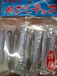 南の楽園☆