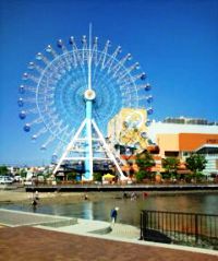 ドリプラ 朝市