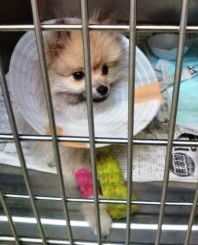 愛しのクゥちゃん☆