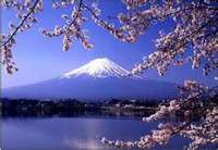ふじのくに 富士山☆