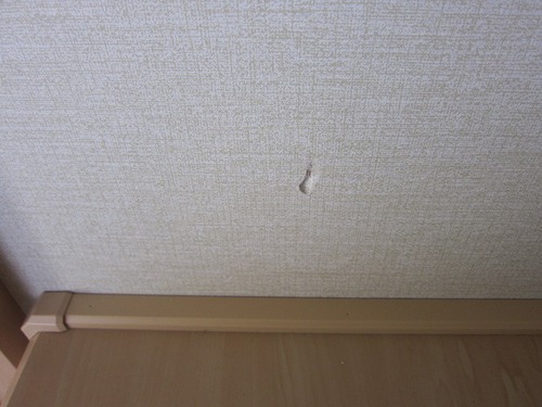 押入れ壁補修 押入れ壁補修