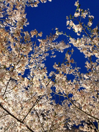 長野にいってきた 長野にいってきた