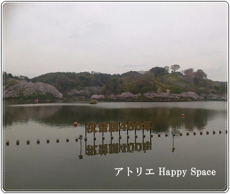 お花見♪