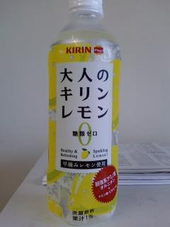 「大人」ねぇ・・・。
