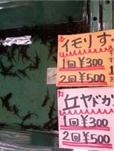 レプタイルズワールド・・・その1