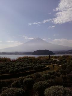 富士山