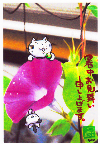 あさがお