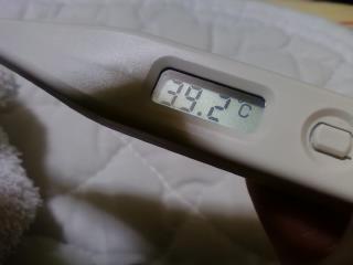 もう・・・ダメ・・。