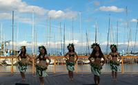 SEA DREAMS 2011