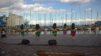 SEA DREAMS 2011