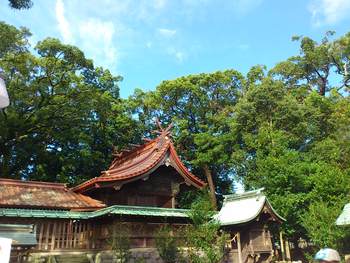 焼津神社 de マルシエ お越しいただきありがとうございました