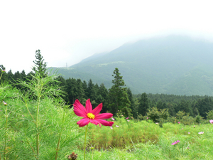 富士山こどもの国へ