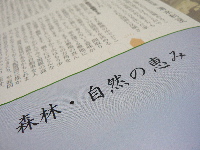 「森とま通信」秋号!