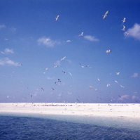海の風景