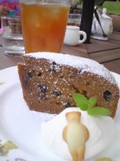 伊豆高原・城ケ崎海岸:womo5月号*初夏のプチ旅へ*