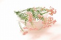 素敵になる