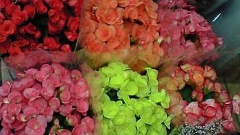 明るいメッセージを