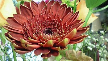 視点を変える