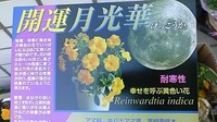 そのままで