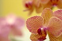 嫌な時には「No」と言う