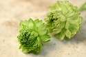 目的達成に重要なこと