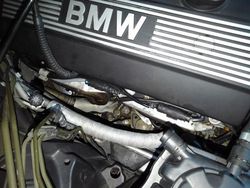 BMW525ツーリングの修理②
