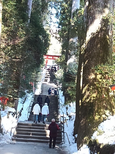 雪の箱根神社