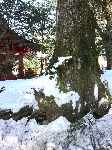 雪の箱根神社