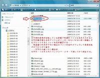 ファイルとフォルダーの取り扱い(2)Win Vsata編