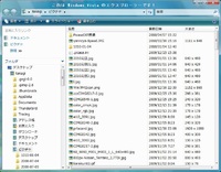 ファイルとフォルダーの取り扱い(2)Win Vsata編