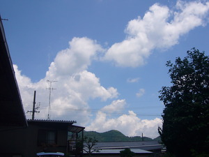 性に合わん