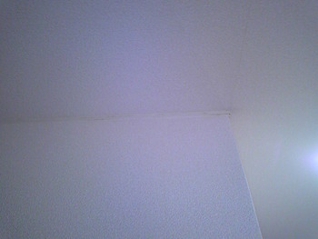 天井と壁の境の見切り、回り縁のお掃除