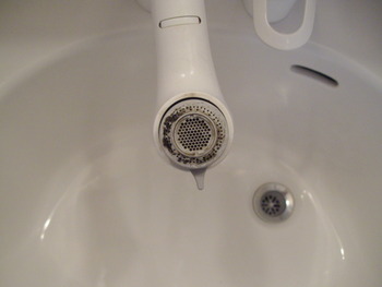 洗面台のシャワーヘッドの汚れ